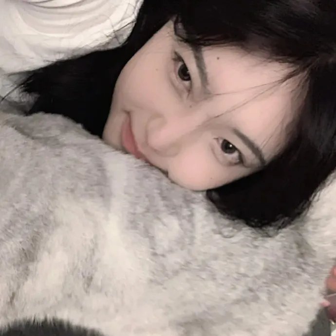 猫侍2